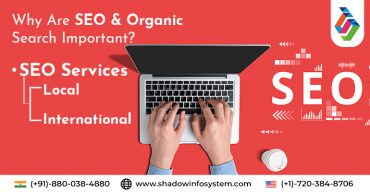 Top SEO Company in Noida