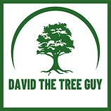 Shadow Case Study Logo